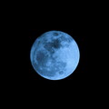 Blue Moon (V)