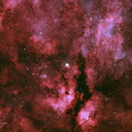 IC1318 1 Night