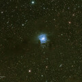 NGC7023 Cropped