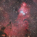 Sh2-273, LDN 1613 (Cone Nebula) & NGC 2264 (Christmas Tree Cluster)