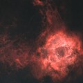 [Starless] NGC 2237 (Rosette Nebula)