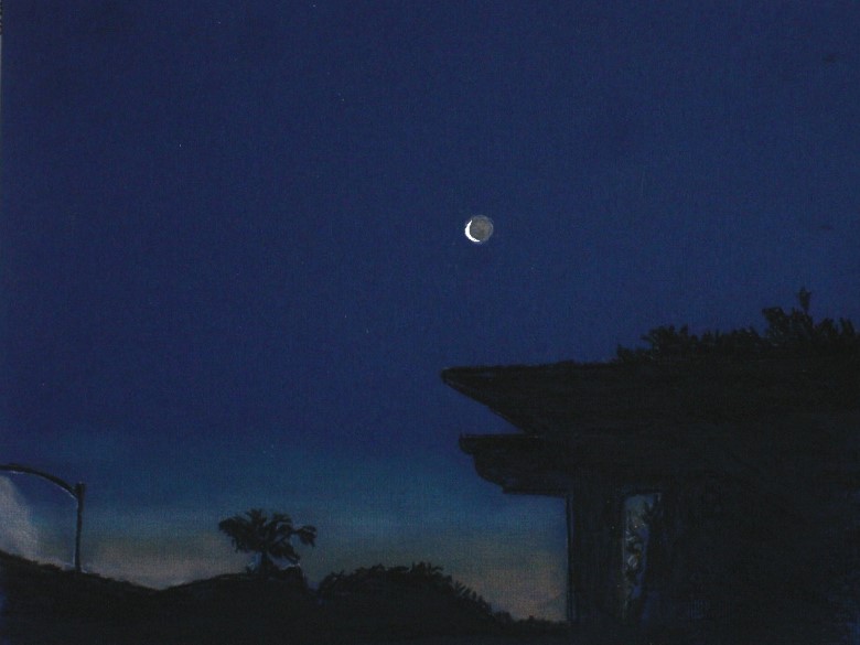 Waning Crescent Moon Near sunrise
