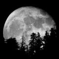 Moonrise on Mt. Baldy - Oct 19, 2013
