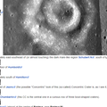 Concentric Craters visuals