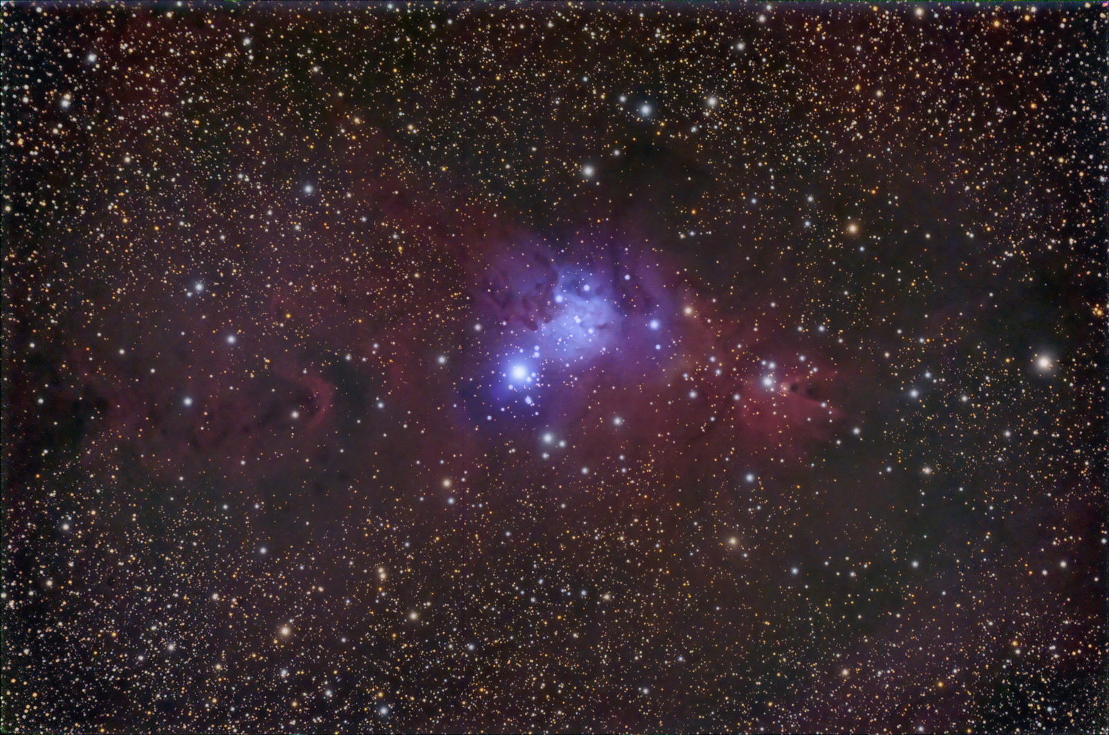 The Christmas Tree Cluster & Cone Nebula