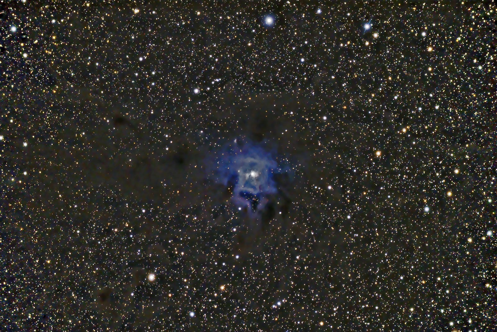 The Iris Nebula NGC7023