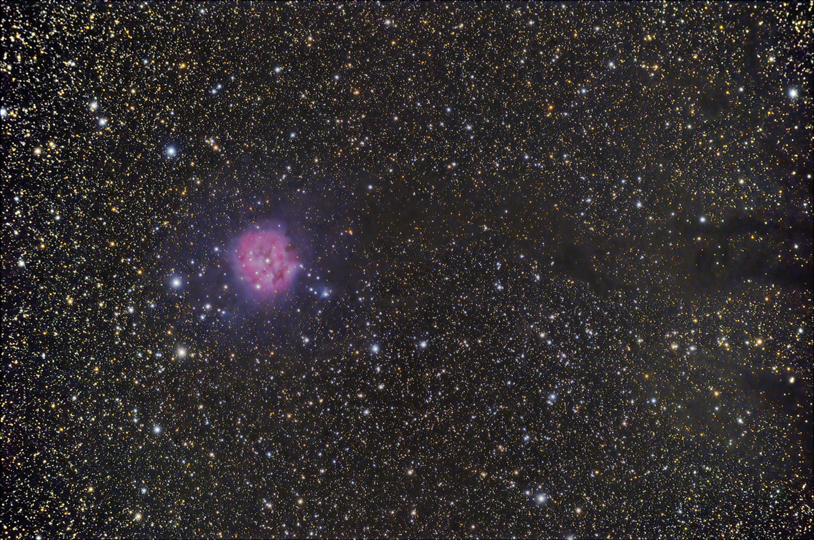 The Cocoon Nebula IC5146