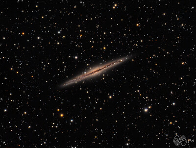 NGC 891 LRGB Processed CR scaled 2