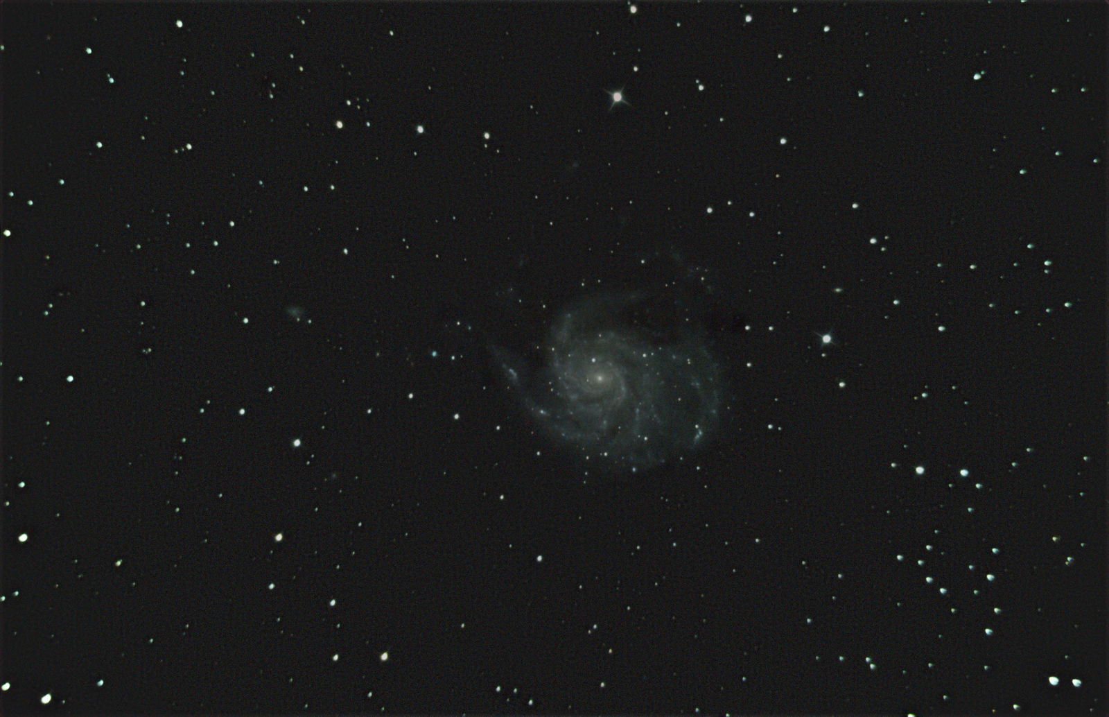 M101 14X82s