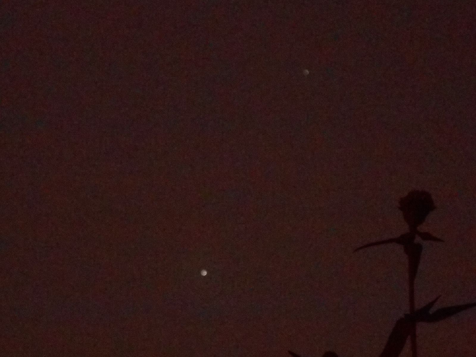 Venus and Jupiter November 3rd ,defocused for 3D effect