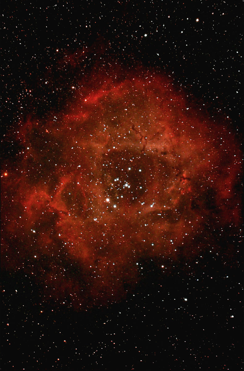 NGC2239