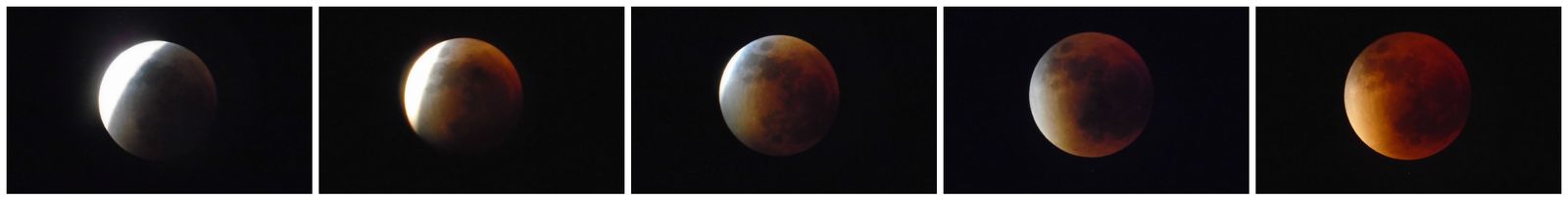 Lunar Eclipse Sequence_1