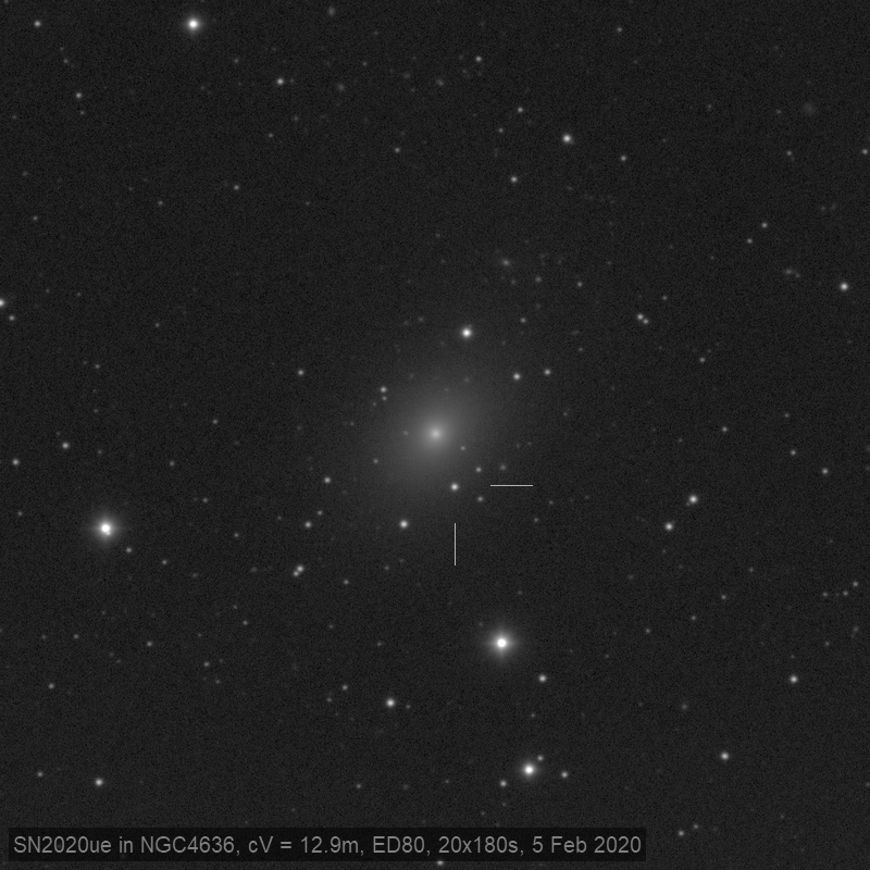 NGC4636 SN2020ue