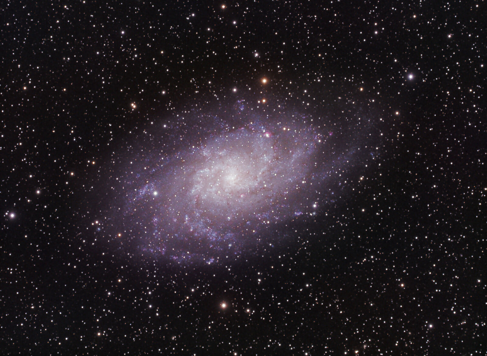 M33 the Triangulum Galaxy
