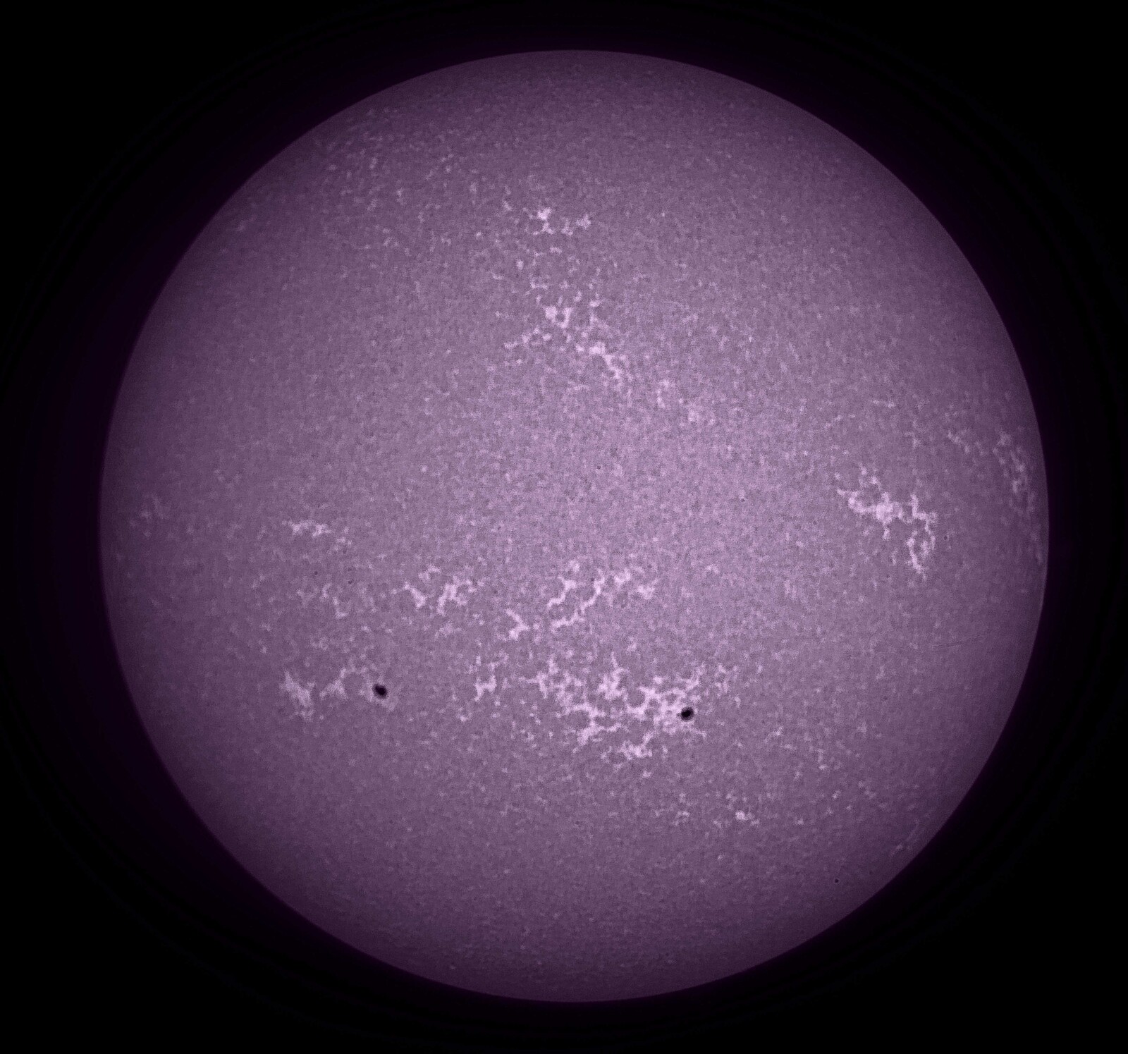 Calcium K Sun May 1, 2022 Moore SC