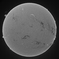 3D effect H-alpha Sun Moore SC June 25 2023