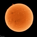 Sun 10 28 23 Md