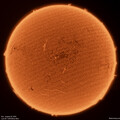 H-Alpha sun with ~16 Prominences