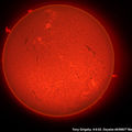 Tonys Daystar image of the sun
