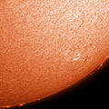 yet another 6-1-2011 Sun