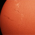 Solar filaments 6-1-2011