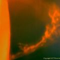 Solar  Prominence