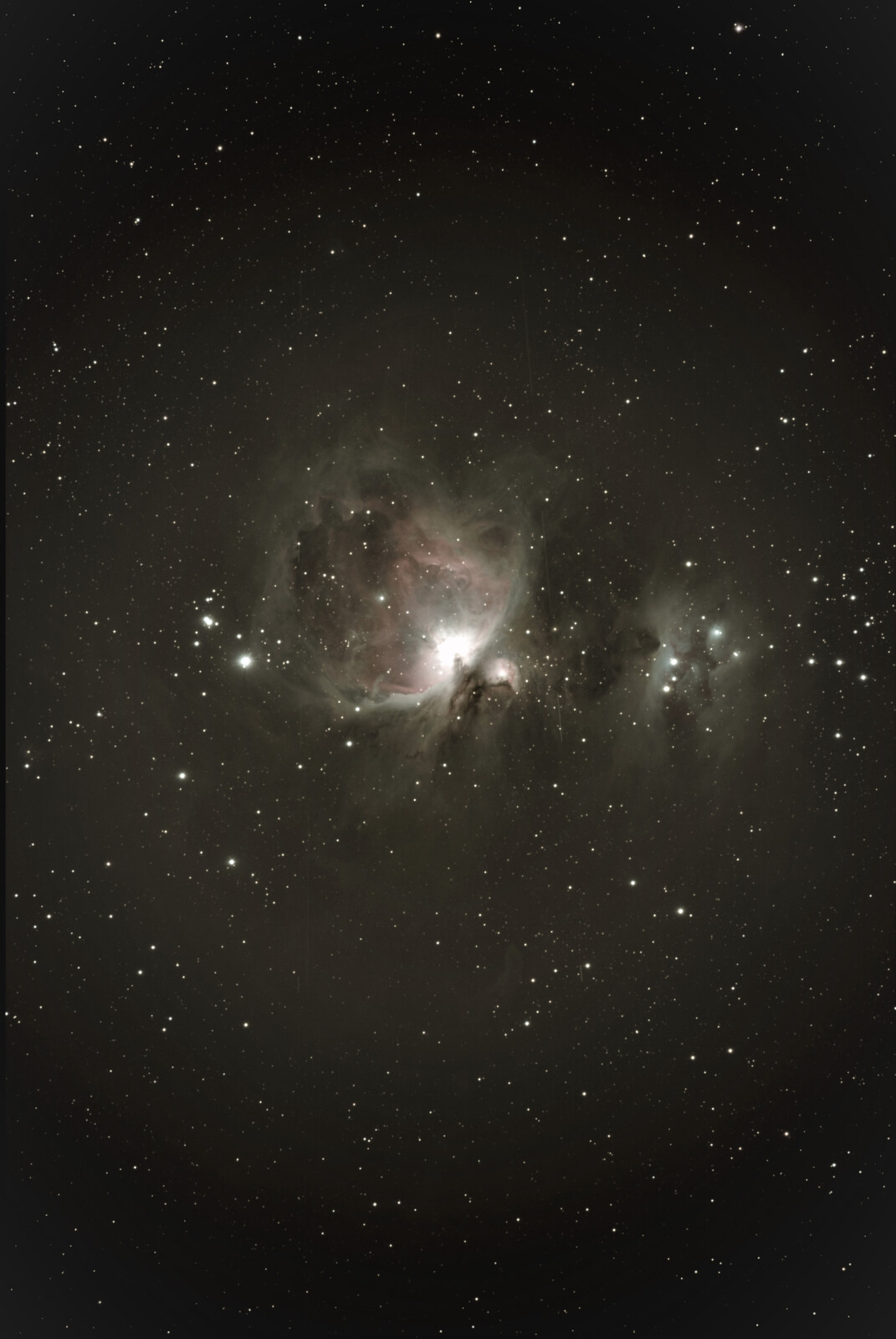 Orion Nebula RASA 11 QHY 600 C (2)