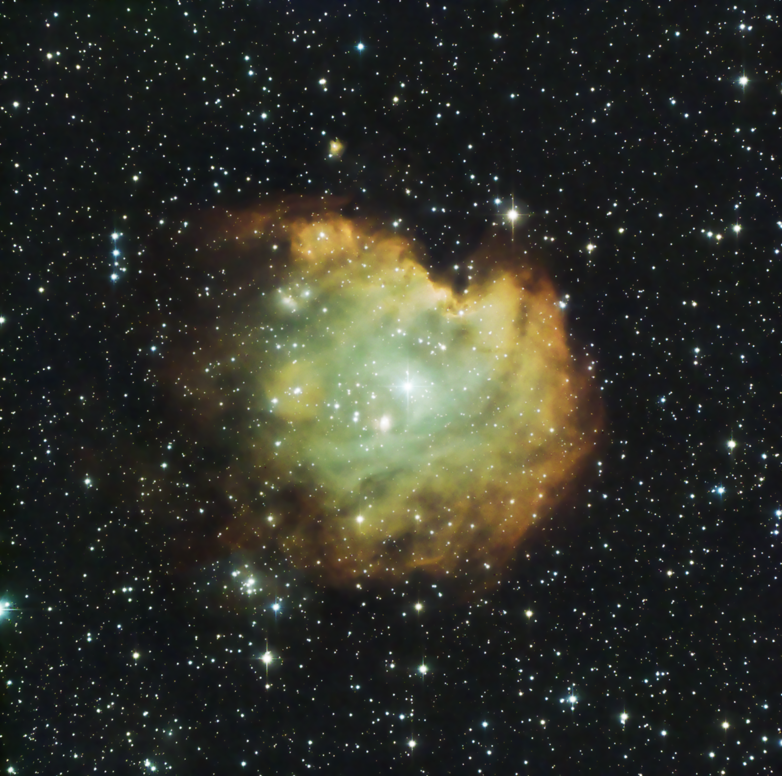 NGC 2175 Monkey Head Nebula V2