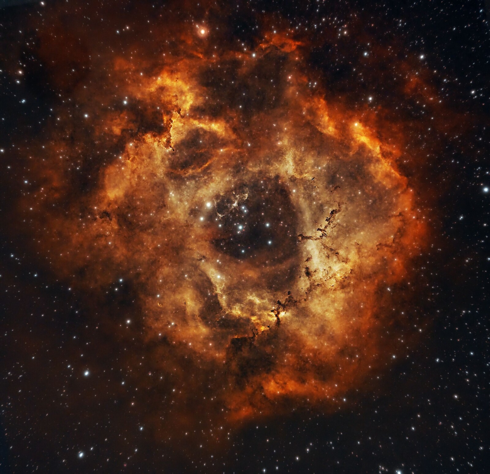 Rosette Nebula 1/2023