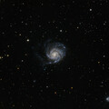 M101 with supernova