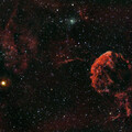 IC 443 JELLYFISH NEBULA