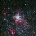 Tarantella Nebulae NGC-2070
