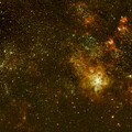 Ngc 2070 Tarantulla nebulae