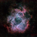 Rosette Nebulae 2023