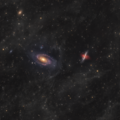 M81-M82 and IFN
