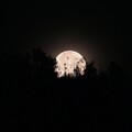 Beautiful moon without telescope.