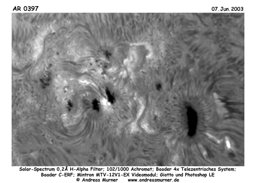 Sunspot #0397 in H-Alpha