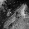 Pelican Nebula in H-alpha