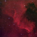 NGC 7000 - Nick King