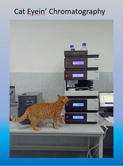 Cat Eyein' Chromatography.JPG