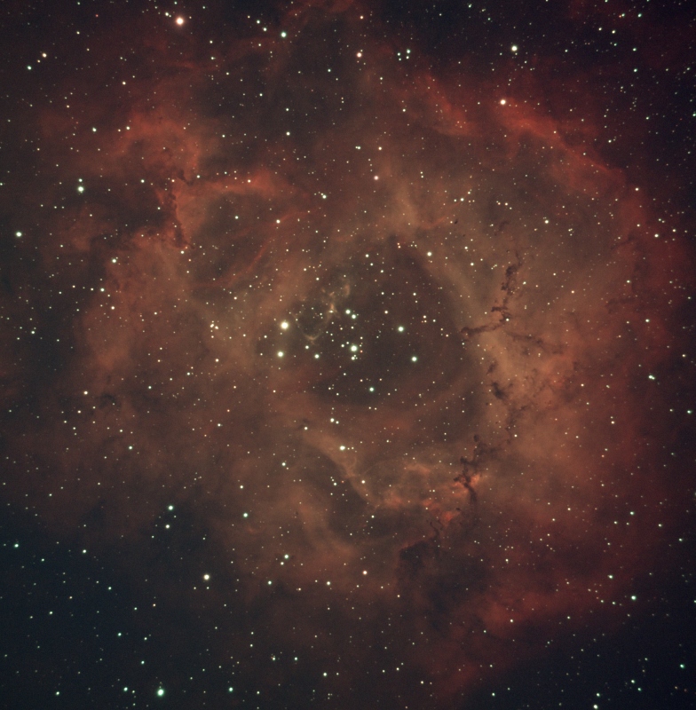 NGC2244_Jan2022 (784x800).jpg