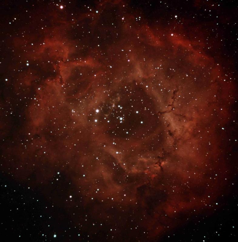 NGC2244_Jan2022_v2.jpg