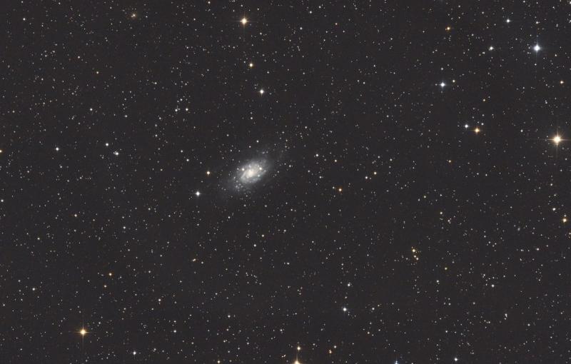 NGC2403.jpg