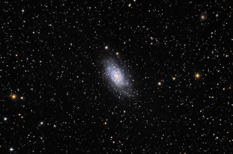 NGC2403 3rd night 18x300s ASTAP ST old process 96.5pct SS HDR (resized).jpg