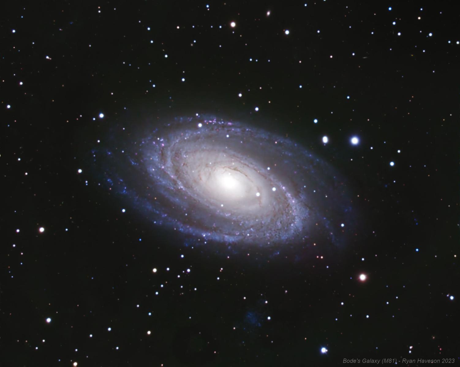 Bode's Galaxy (M81) - Experienced Deep Sky Imaging - Cloudy Nights