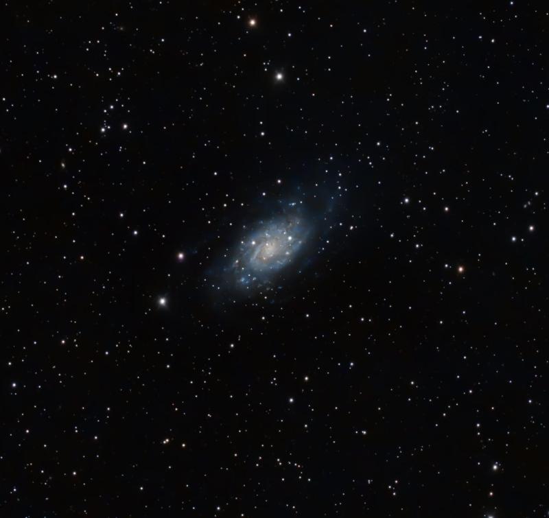 NGC 2403_3.jpg