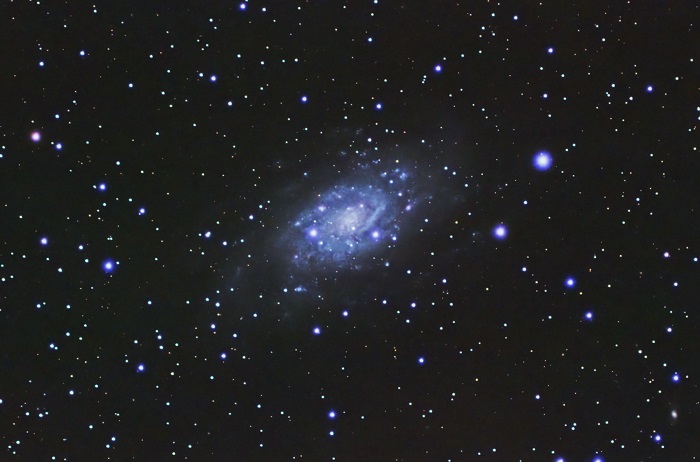 NGC_2403-lpc-cbg-csc-St-AP-PS-NX-AP-Crop-Reduced.jpg
