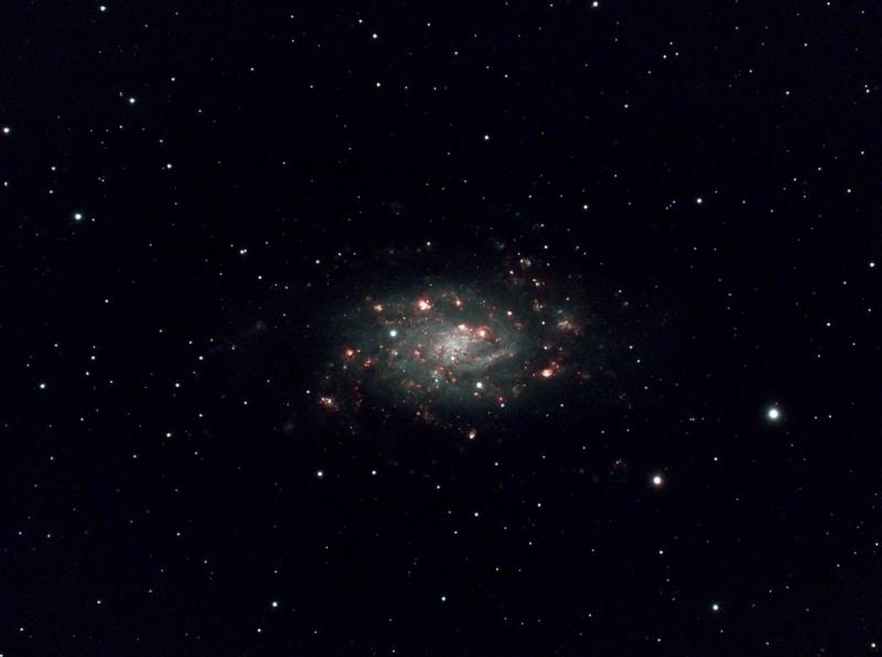 NGC2403_Processed 1.jpg