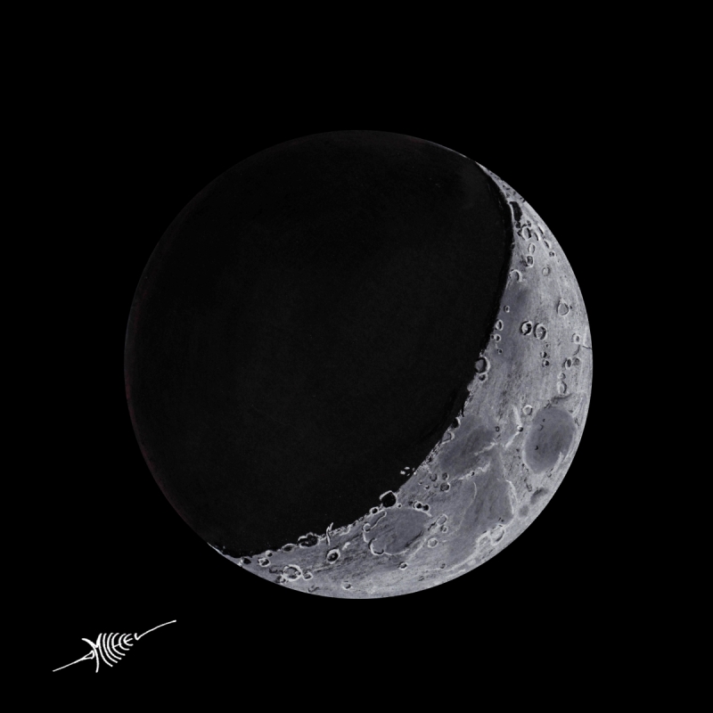Moon-20180220_l.jpg