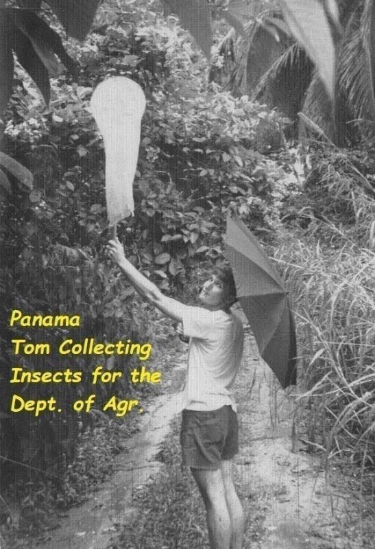 168 collecting insects Tom Panama 1970.jpg